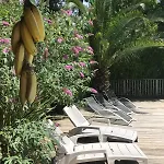 Ravissante Bois Avec Piscine Chauffee Casa de Férias