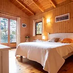 Ravissante Bois Avec Piscine Chauffee
