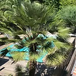 Ravissante Bois Avec Piscine Chauffee Biscarrosse