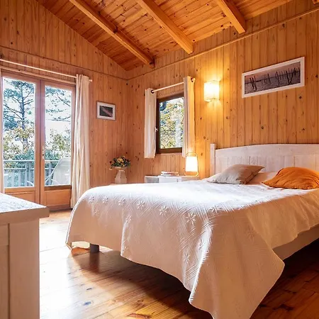Ravissante Bois Avec Piscine Chauffee
