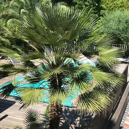 Ravissante Bois Avec Piscine Chauffee Biscarrosse