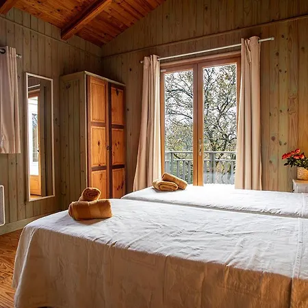 Prázdninový dům Ravissante Bois Avec Piscine Chauffee Biscarrosse